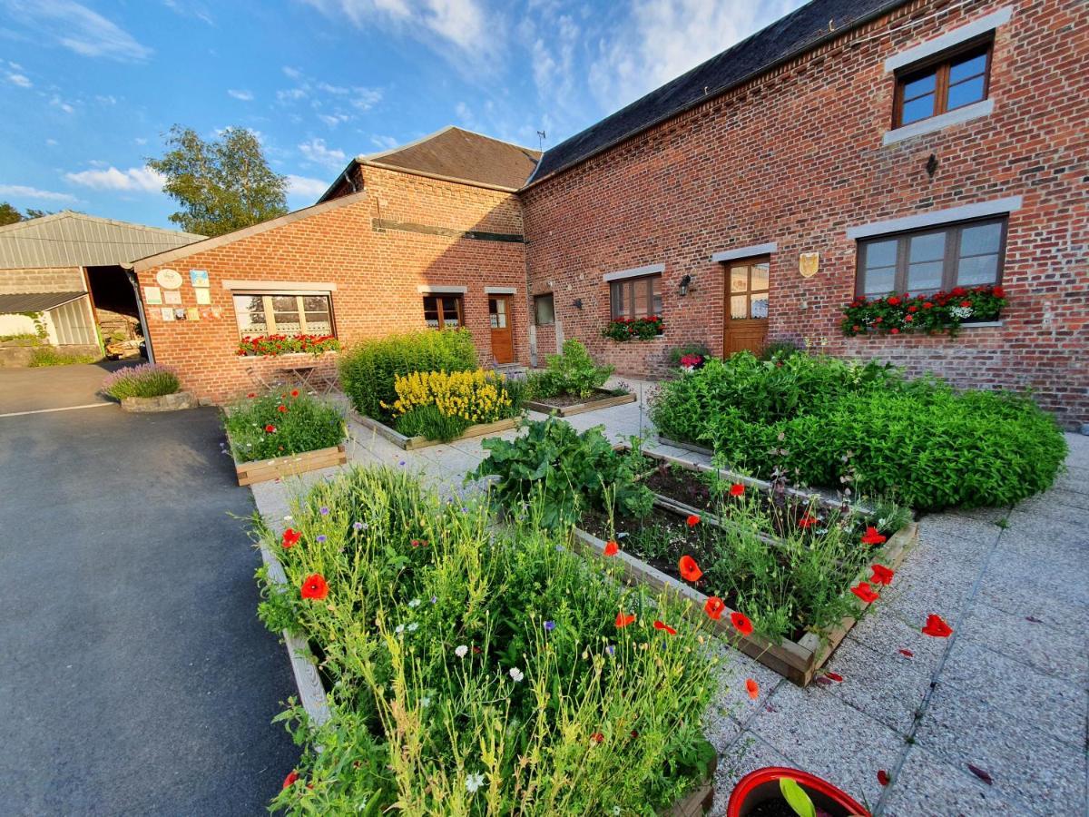Bed and Breakfast Les Mout'Anes Saint-Hilaire-sur-Helpe Zewnętrze zdjęcie