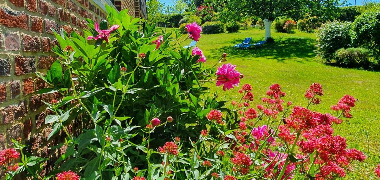 Bed and Breakfast Les Mout'Anes Saint-Hilaire-sur-Helpe Zewnętrze zdjęcie
