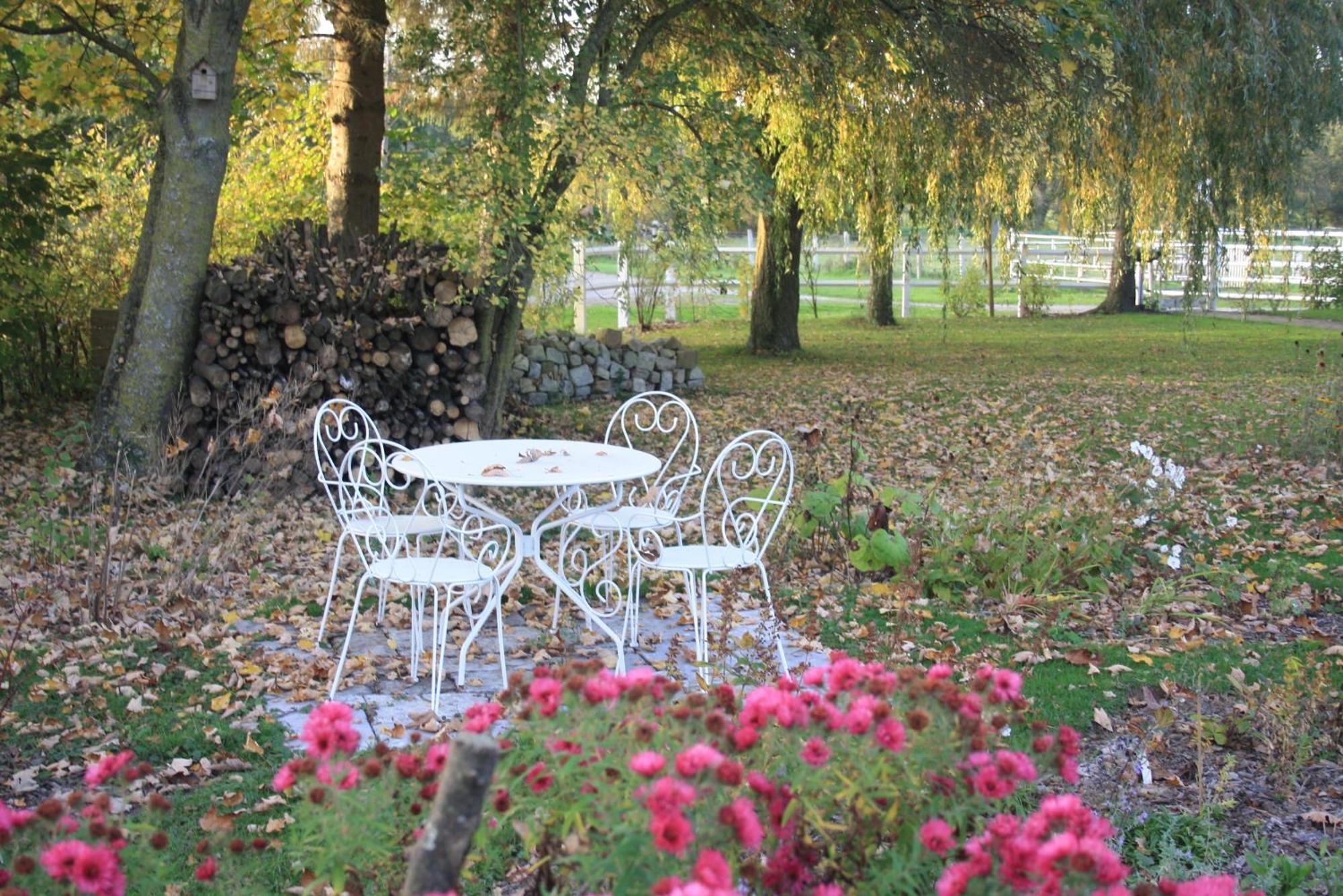 Bed and Breakfast Les Mout'Anes Saint-Hilaire-sur-Helpe Zewnętrze zdjęcie