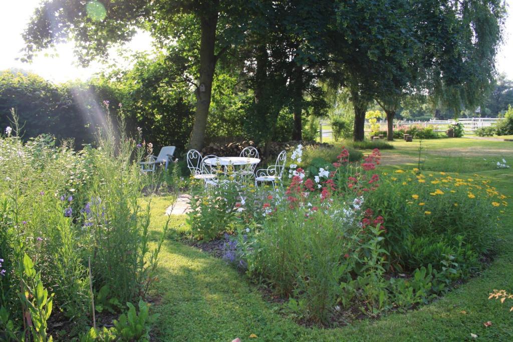 Bed and Breakfast Les Mout'Anes Saint-Hilaire-sur-Helpe Zewnętrze zdjęcie